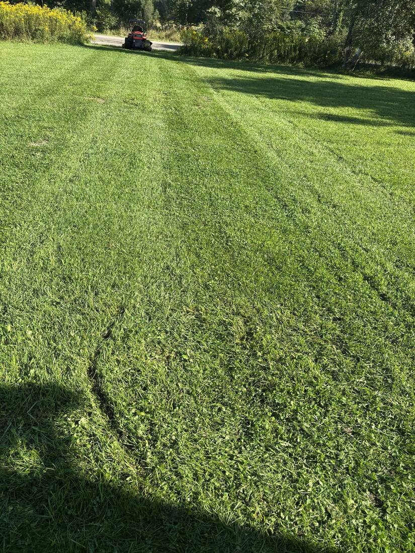 Freshly striped lawn with a zero-turn mower at the far end