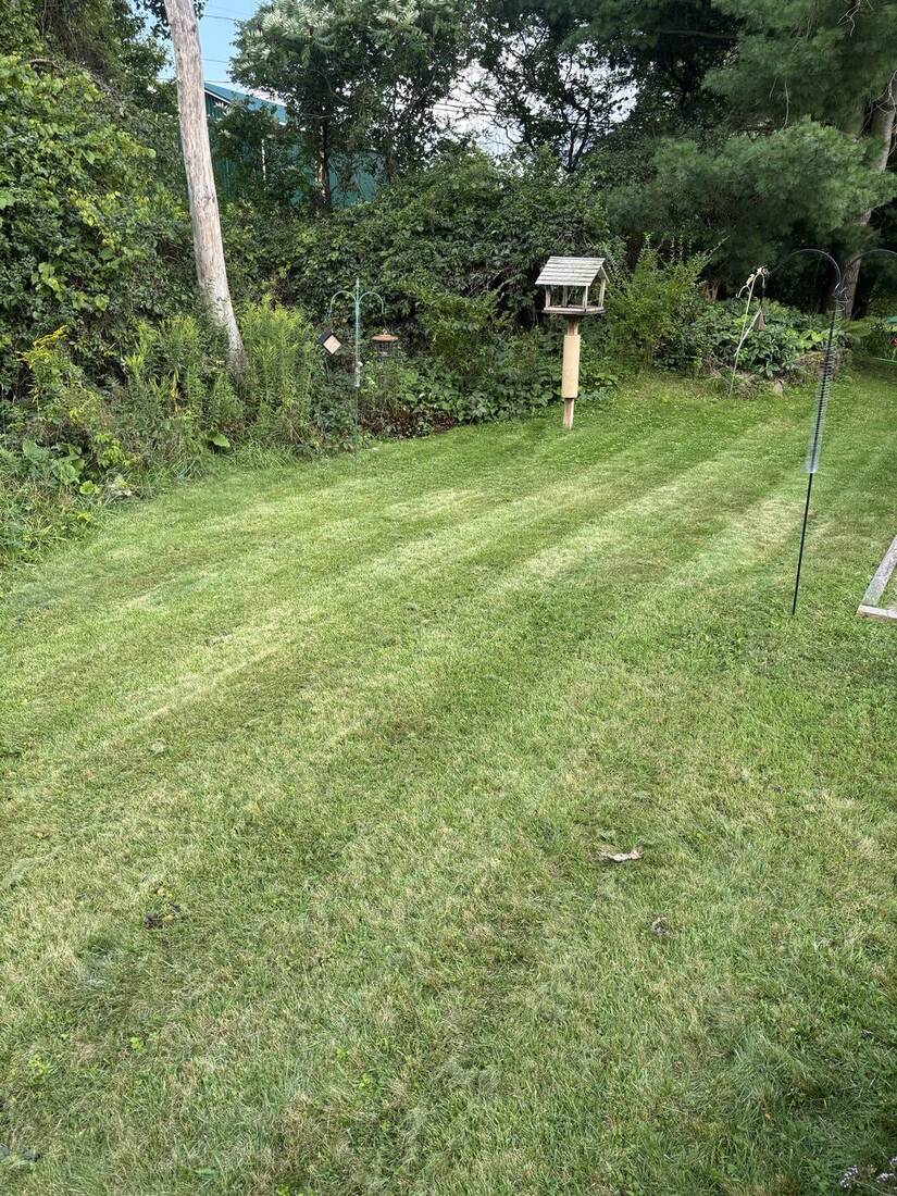 Clean backyard lawn trimmed along the beds and bird feeder